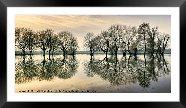 Tree Reflections Framed Mounted Print by Keith Douglas