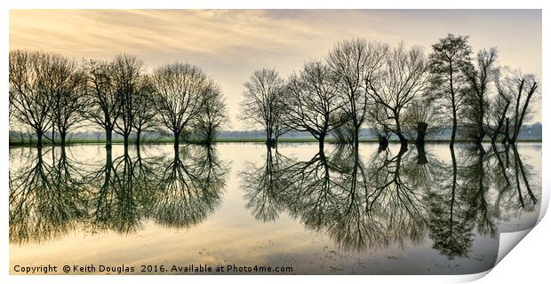 Tree Reflections Print by Keith Douglas