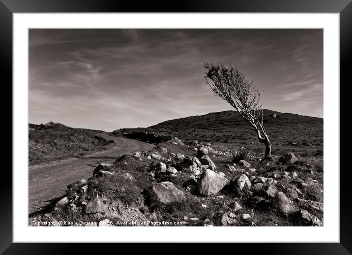 The Lone Tree, Islay, Scotland Framed Mounted Print by Kasia Design