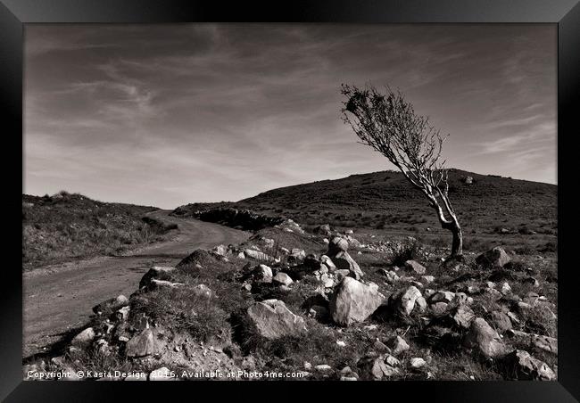 The Lone Tree, Islay, Scotland Framed Print by Kasia Design