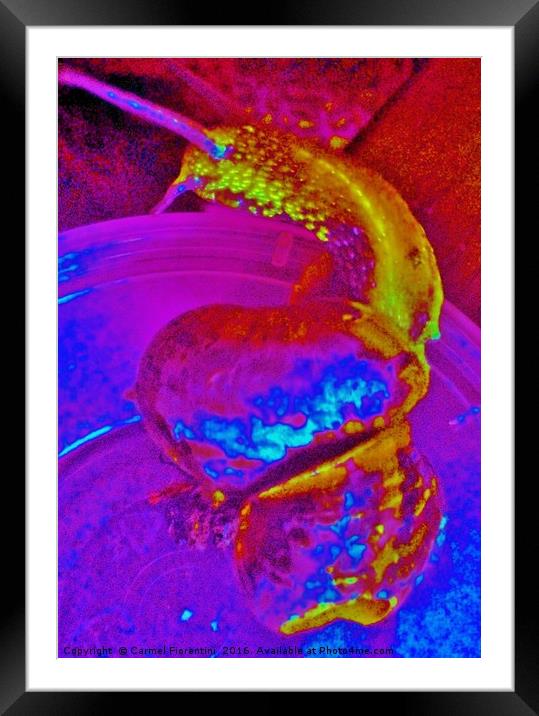 Rainbow Snail Framed Mounted Print by Carmel Fiorentini