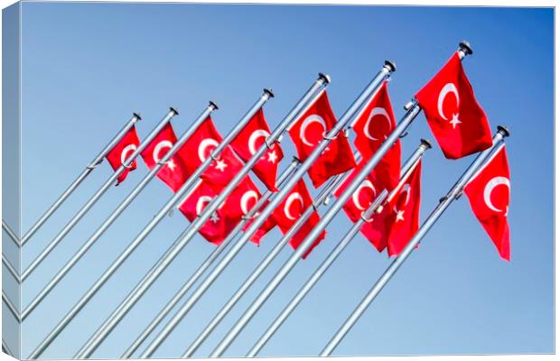 Turkish Flags Canvas Print by Valerie Paterson