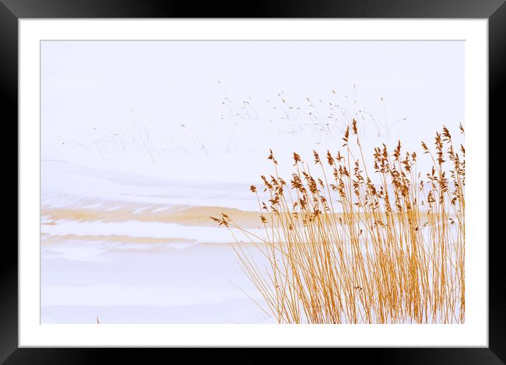 Rushy river shore in a very early spring Framed Mounted Print by Tartalja 