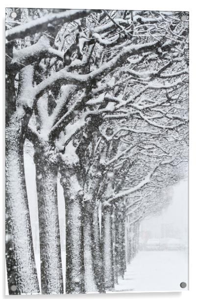  Trees and snow Acrylic by Tartalja 