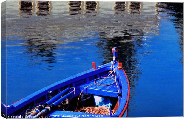 Blue and red rowing boat Canvas Print by Tony Purbrook