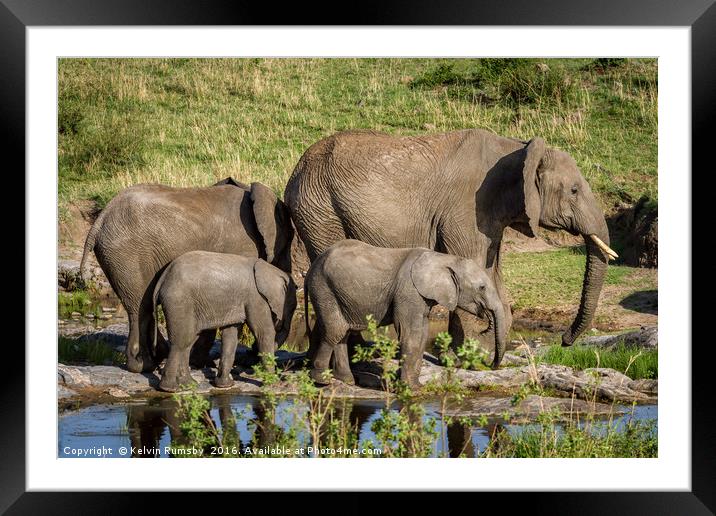 elephants Framed Mounted Print by Kelvin Rumsby
