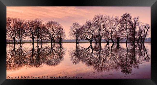 Tree Reflections Framed Print by Keith Douglas