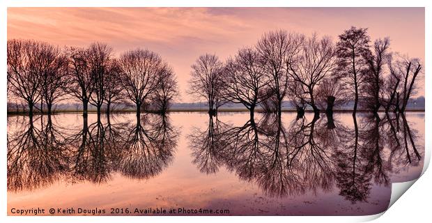 Tree Reflections Print by Keith Douglas