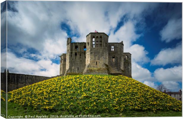 Warkworth Daffodils Canvas Print by Paul Appleby