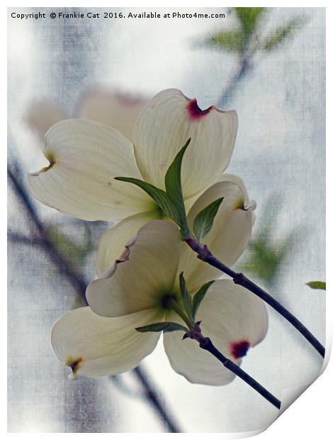 Dogwood Blossoms Print by Frankie Cat