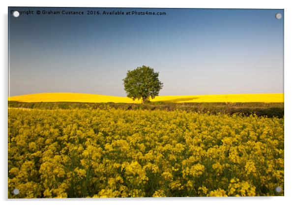 Lone Tree Acrylic by Graham Custance