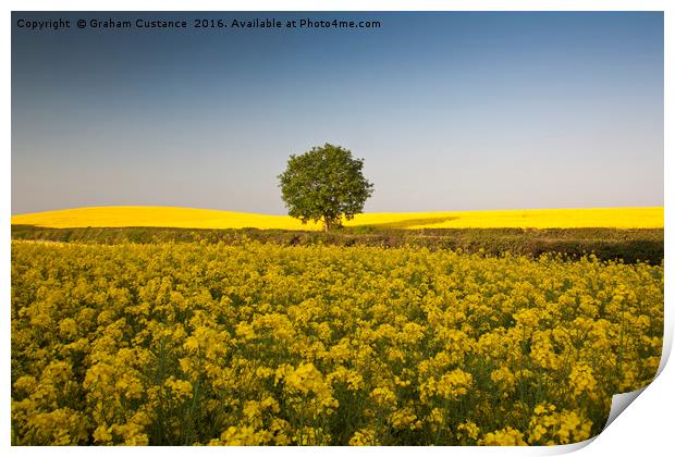 Lone Tree Print by Graham Custance