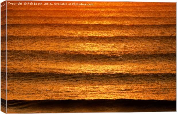 'Cornish Gold' Canvas Print by Rob Booth