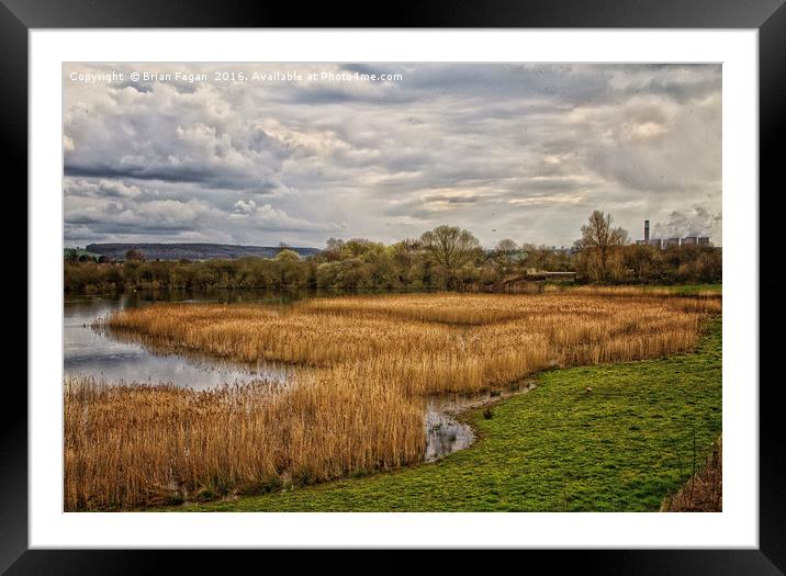 The Wetlands Framed Mounted Print by Brian Fagan