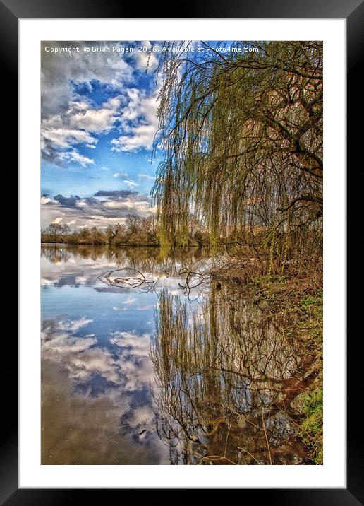 Willow reflection Framed Mounted Print by Brian Fagan