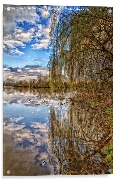Willow reflection Acrylic by Brian Fagan