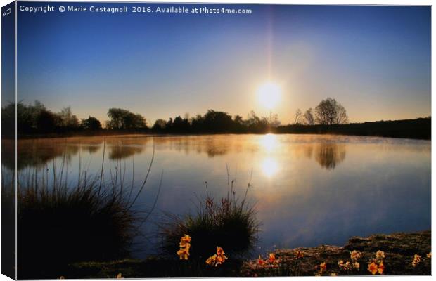 Golden sun & Golden Flowers Canvas Print by Marie Castagnoli