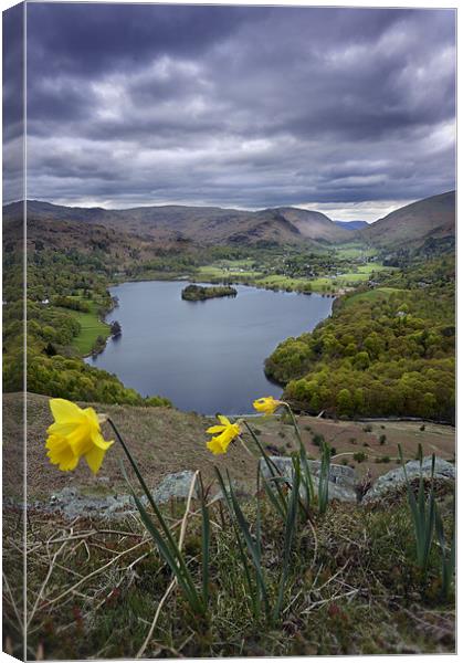 Daffodils over Grassmere Canvas Print by Stephen Mole
