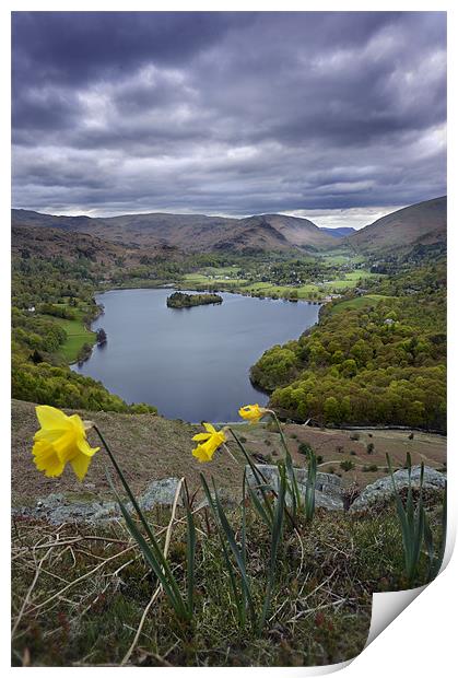 Daffodils over Grassmere Print by Stephen Mole
