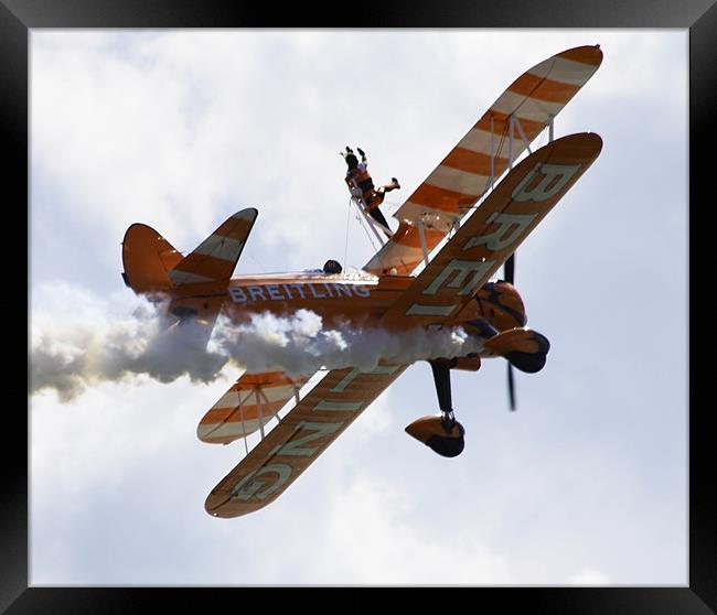 Wing Walkers Framed Print by David French