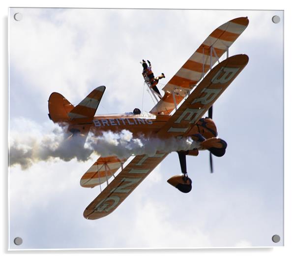 Wing Walkers Acrylic by David French