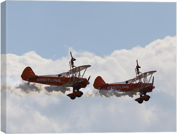 Wingwalkers air display Canvas Print by David French