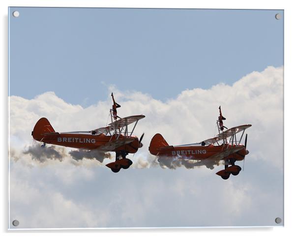 Wingwalkers air display Acrylic by David French