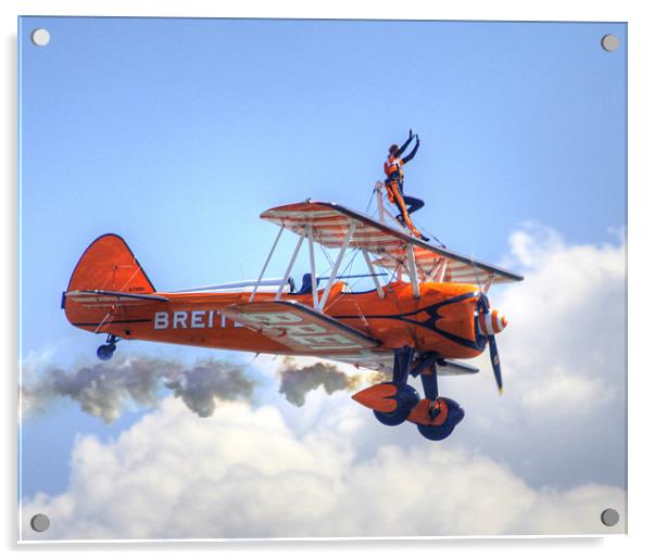 wingwalkers Air Display Acrylic by David French