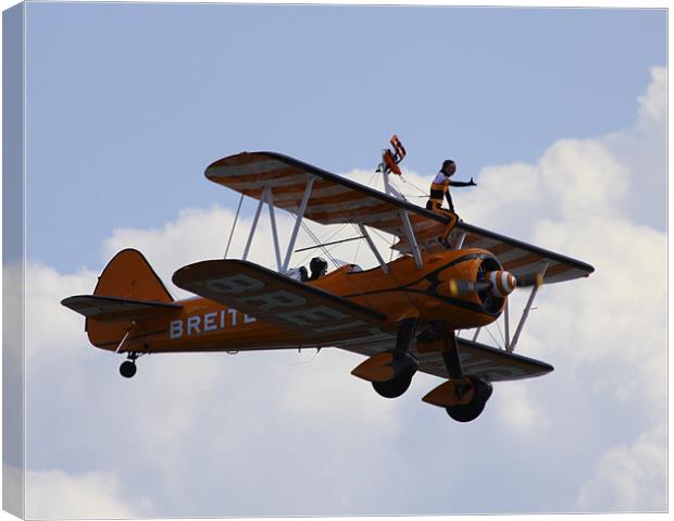 Wingwalkers Air Display Canvas Print by David French