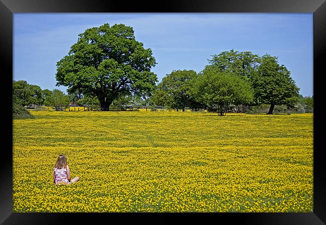Girl in buttercup meadow Framed Print by Howard Corlett