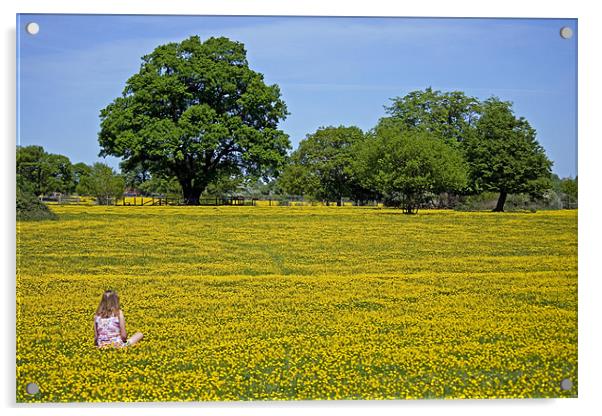 Girl in buttercup meadow Acrylic by Howard Corlett