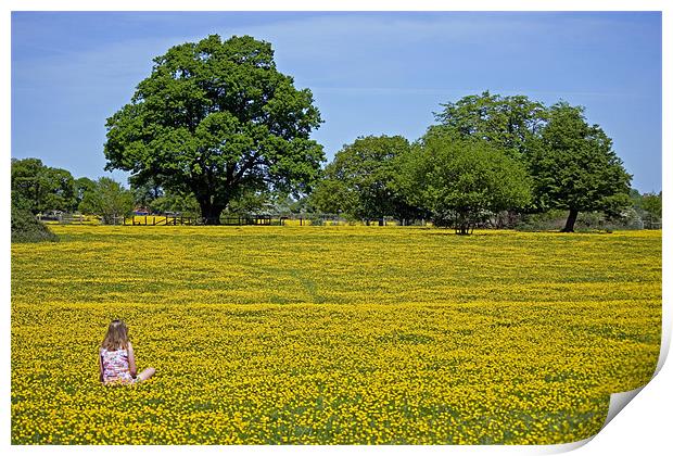Girl in buttercup meadow Print by Howard Corlett