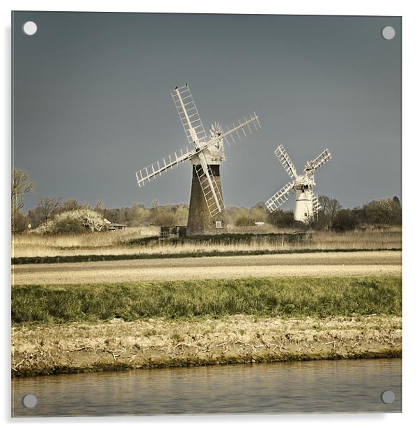 Thurne Mill and St Benets Mill Acrylic by Stephen Mole