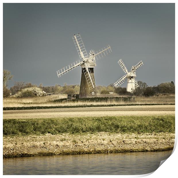 Thurne Mill and St Benets Mill Print by Stephen Mole