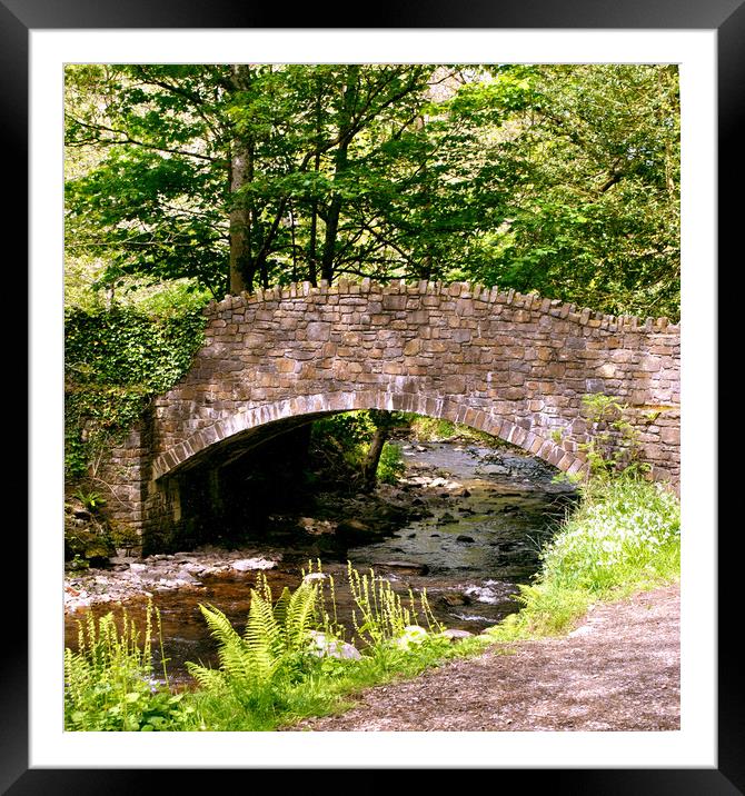 Bridge Across The River Heddon Framed Mounted Print by patricia cannock