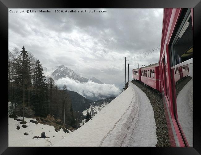 Bernina Train in the Swiss Alps. Framed Print by Lilian Marshall