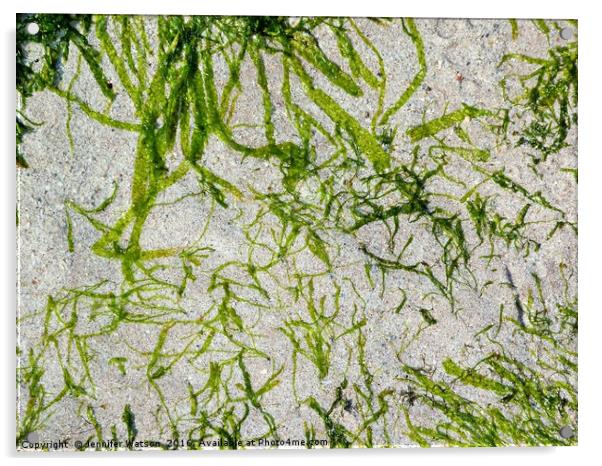 Seaweed Green Acrylic by Jennifer Henderson
