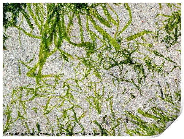 Seaweed Green Print by Jennifer Henderson