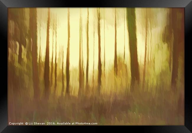 Magical Woodland Shining Light Framed Print by Liz Shewan