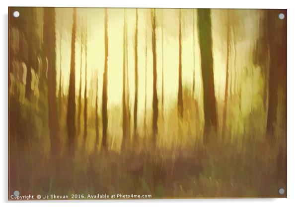 Magical Woodland Shining Light Acrylic by Liz Shewan