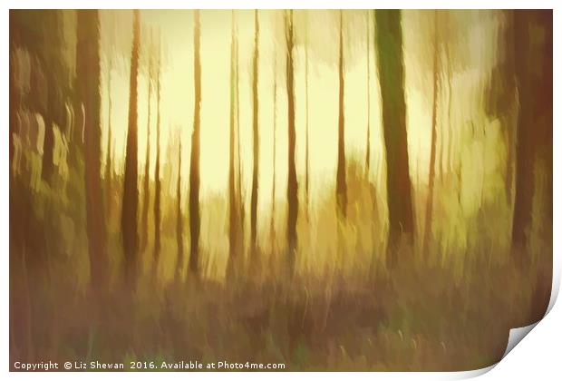 Magical Woodland Shining Light Print by Liz Shewan