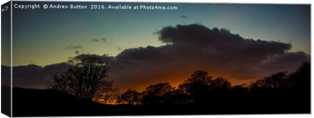 Sunset Skyline, Mountain Ash Canvas Print by Andrew Button