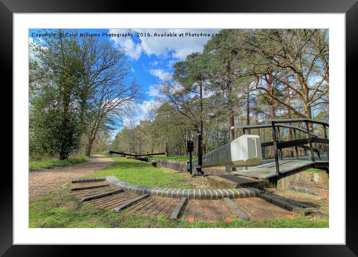 Deepcut locks Basingstoke Canal 2 Framed Mounted Print by Colin Williams Photography