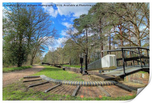 Deepcut locks Basingstoke Canal 2 Print by Colin Williams Photography