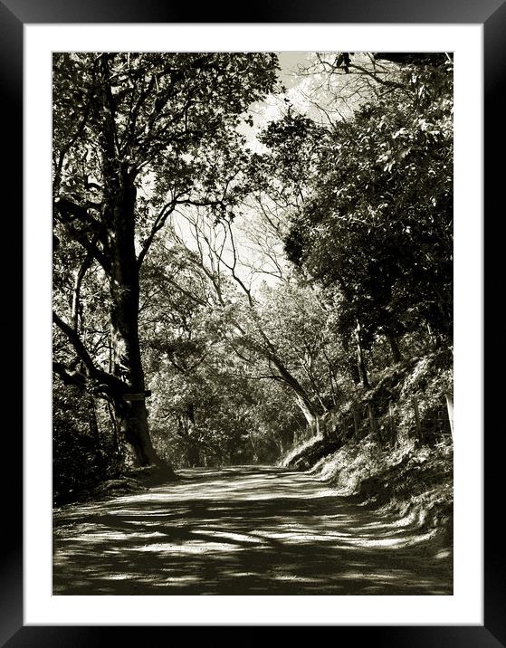 The Road to Nosara Framed Mounted Print by james balzano, jr.