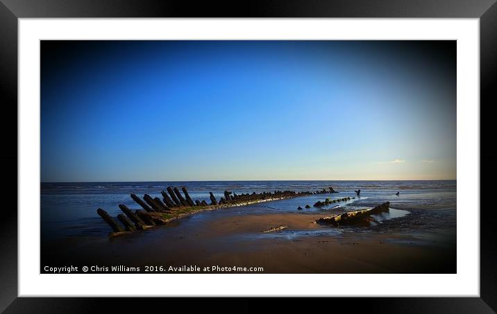 Beached  Framed Mounted Print by Chris Williams