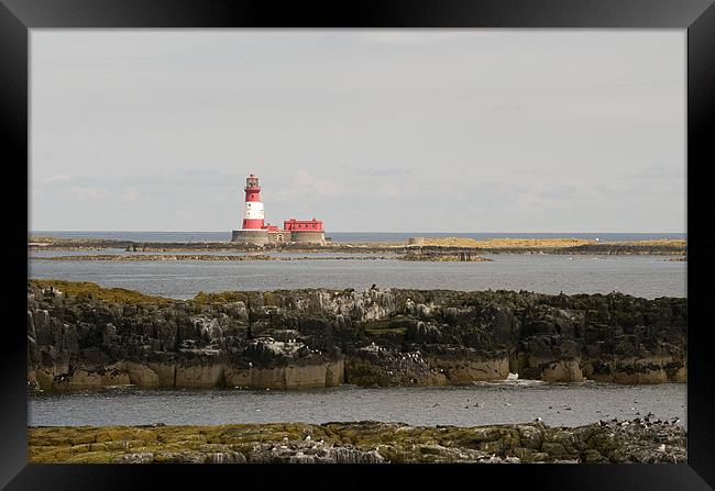 Longstone Lighthouse from Staple Island Framed Print by Simon Marshall
