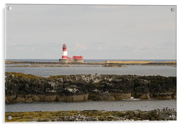 Longstone Lighthouse from Staple Island Acrylic by Simon Marshall