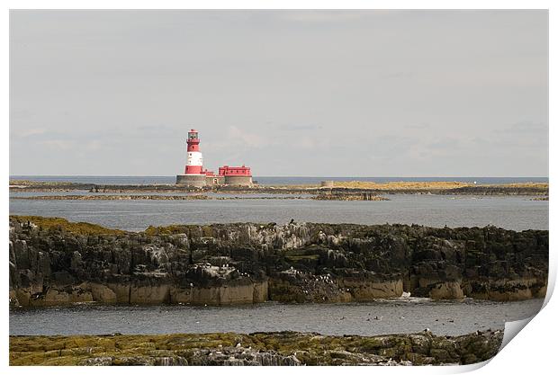Longstone Lighthouse from Staple Island Print by Simon Marshall