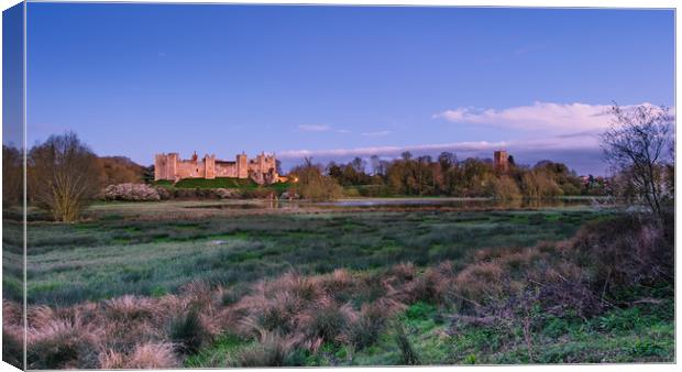 Framlingham Castle and Mere  Canvas Print by Nick Rowland